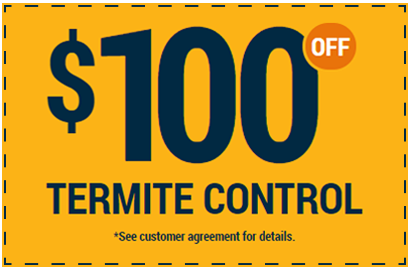 Coupon Coupon