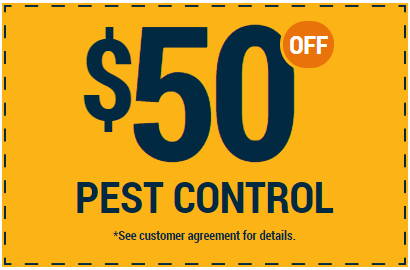 Coupon Coupon