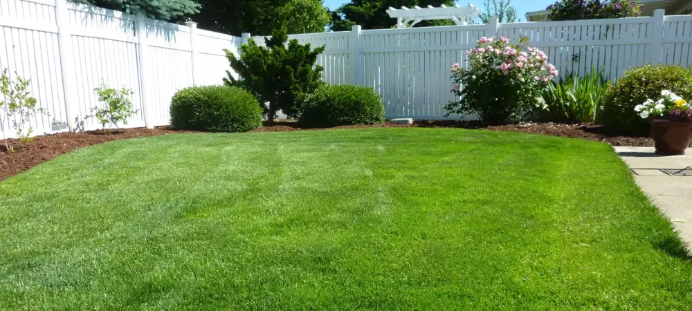 lawn