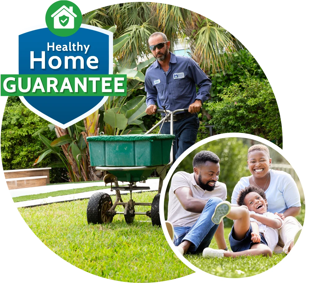 healthy home lawn