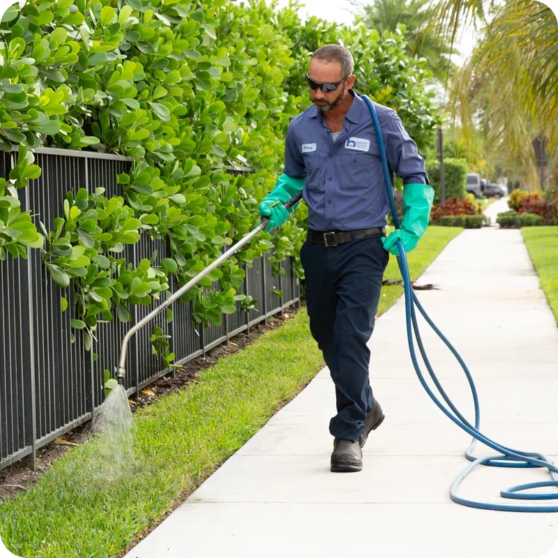 lawn care, technician spraying grass