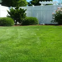 lawn