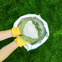 fertilizer in hands