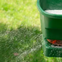 fertilizing-lawn.