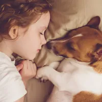 girl and dog