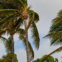 hurricane-florida-south-beach
