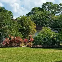 house and lawn