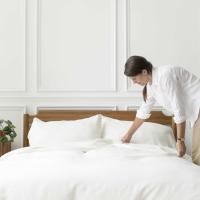 What Draws Bed Bugs Out of Hiding?