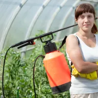 What Is the Most Environmentally Friendly Method for Controlling Pests?