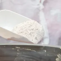 What Is the White Powder That Exterminators Use?
