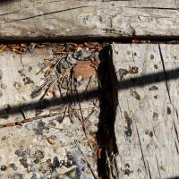 What Should You Avoid Doing If You Have A Termite Problem