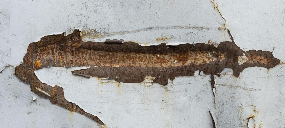 Are Dry wood Termites the Most Destructive Type of Termite
