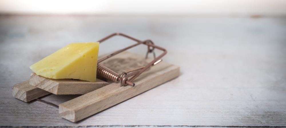 mouse trap