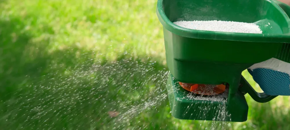 fertilizing-lawn.