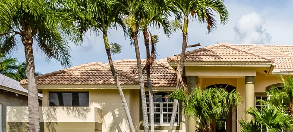 Florida front lawn