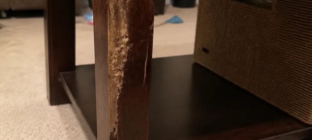 An end table with termite damage
