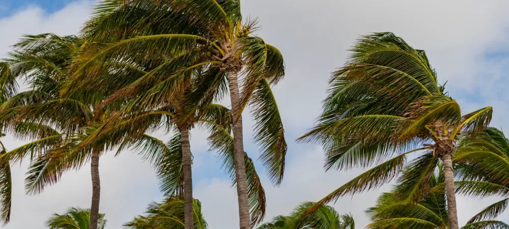hurricane-florida-south-beach