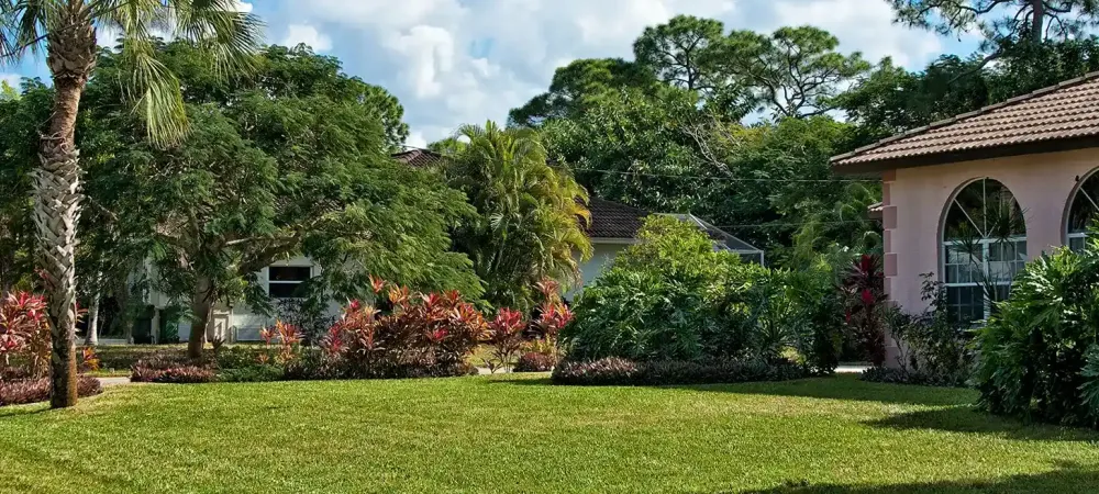 house and lawn