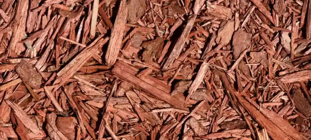 mulch