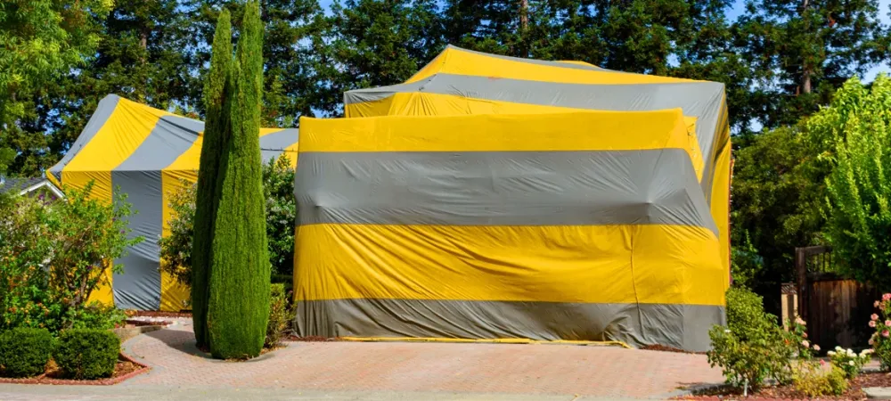 suburban-home-termite-fumigation