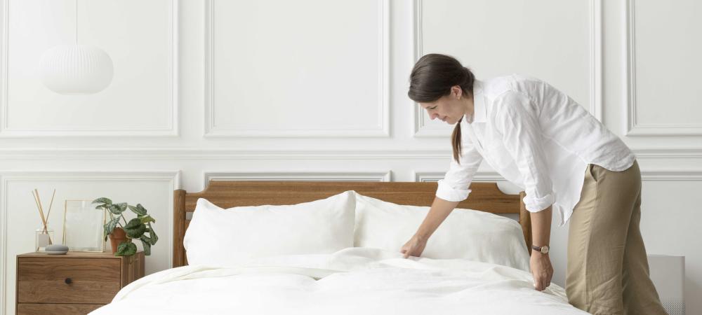 What Draws Bed Bugs Out of Hiding?