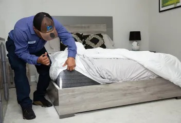 bed-bug-check