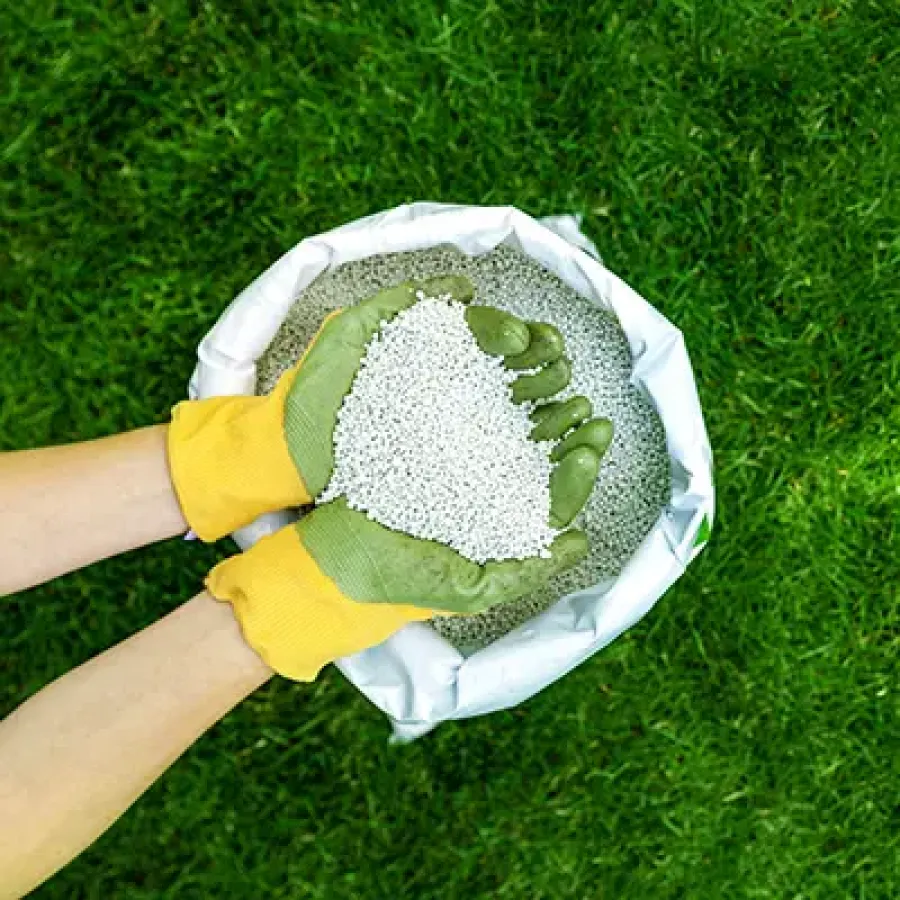 fertilizer in hands