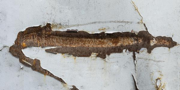 Are Dry wood Termites the Most Destructive Type of Termite