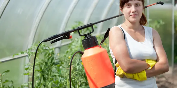 What Is the Most Environmentally Friendly Method for Controlling Pests?