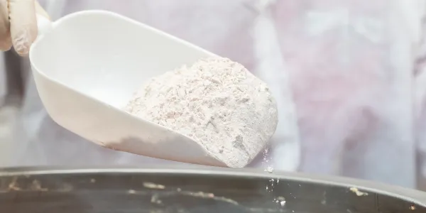 What Is the White Powder That Exterminators Use?