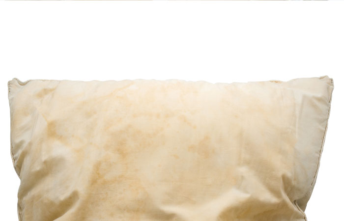 bed-bug-interior-3