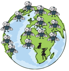 Multiple cartoon flies covering a globe.