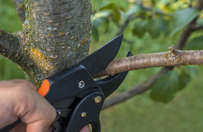 A man cutting a tree branch.