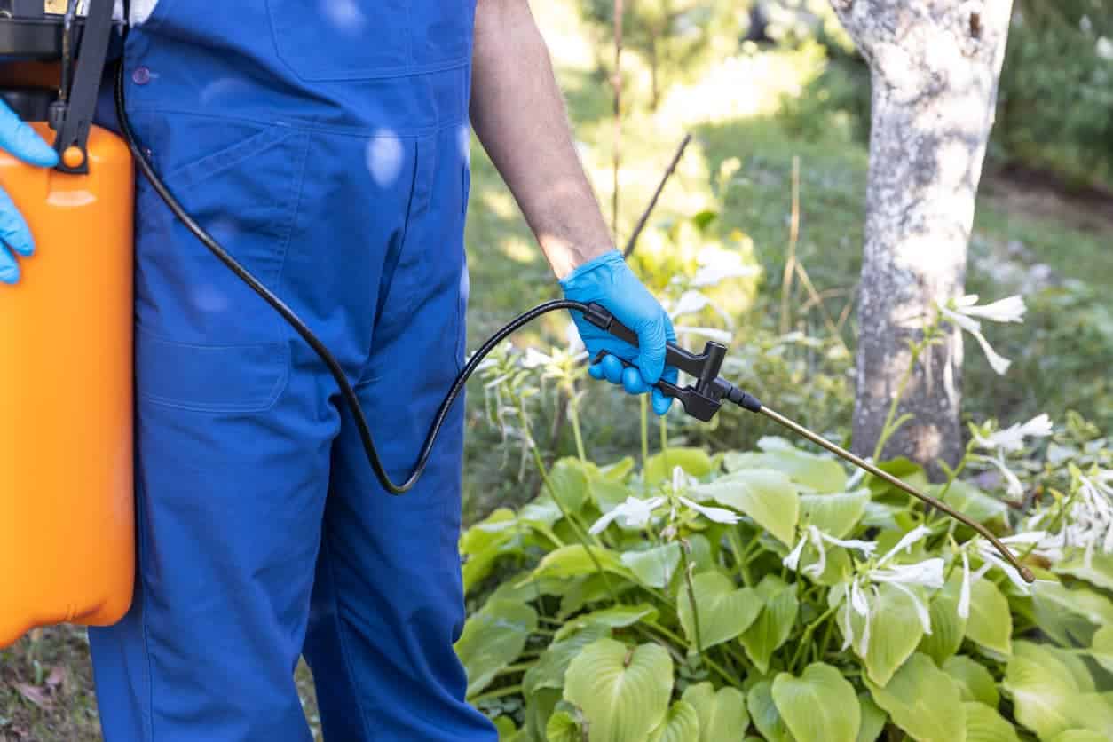 A pest control technician treating a yard for pests with a pet-friendly solution.