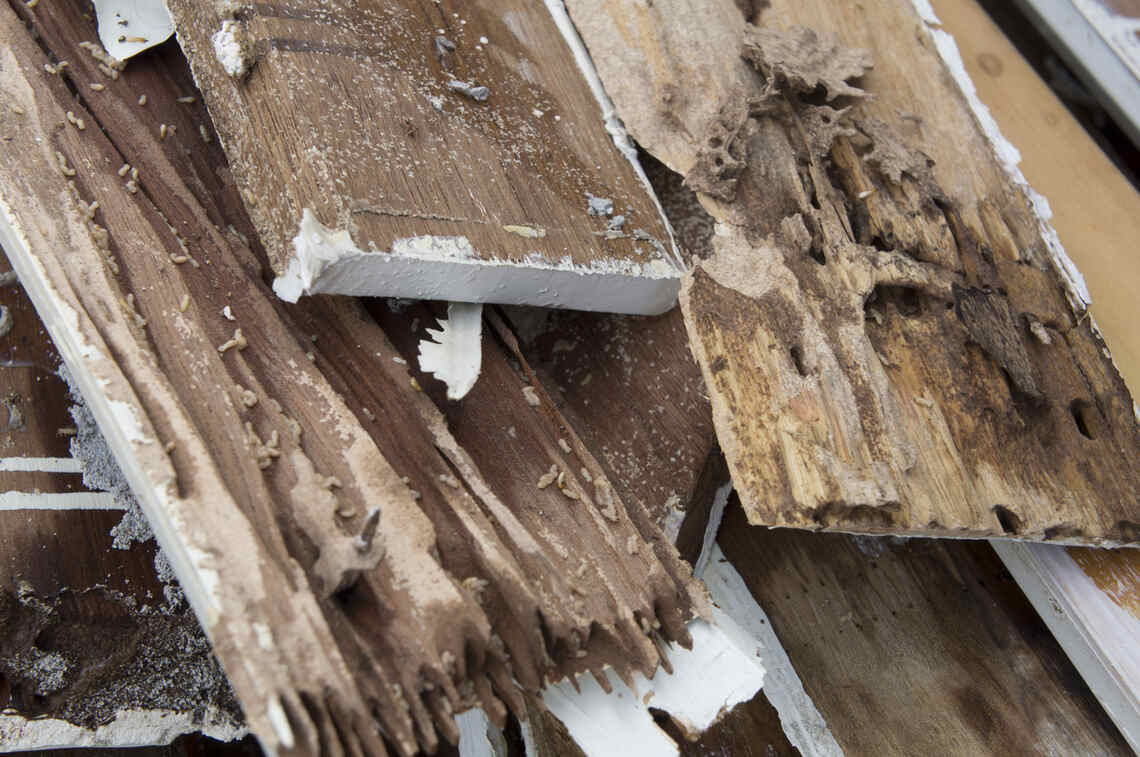 Pile of boards with signs of rot and termite damage.