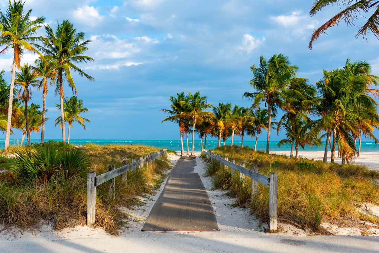 Wooden boardwalk in beautiful Crandon Park in Key Biscayne