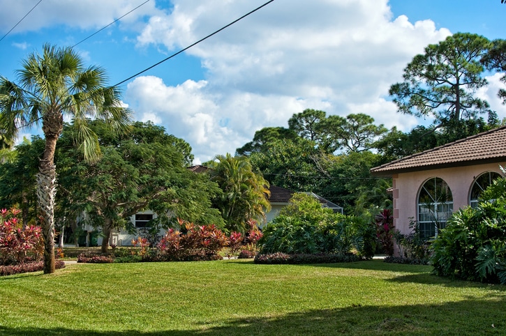 View of a typical southern florida lawn in early afternoon, showing houses, trees, and lawn.