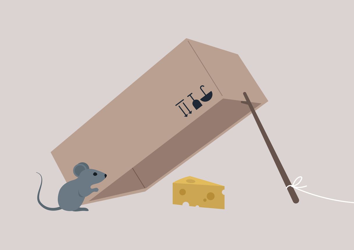 An animated mouse traip with a cardboard box, stick propping it up, and cheese hidden underneath