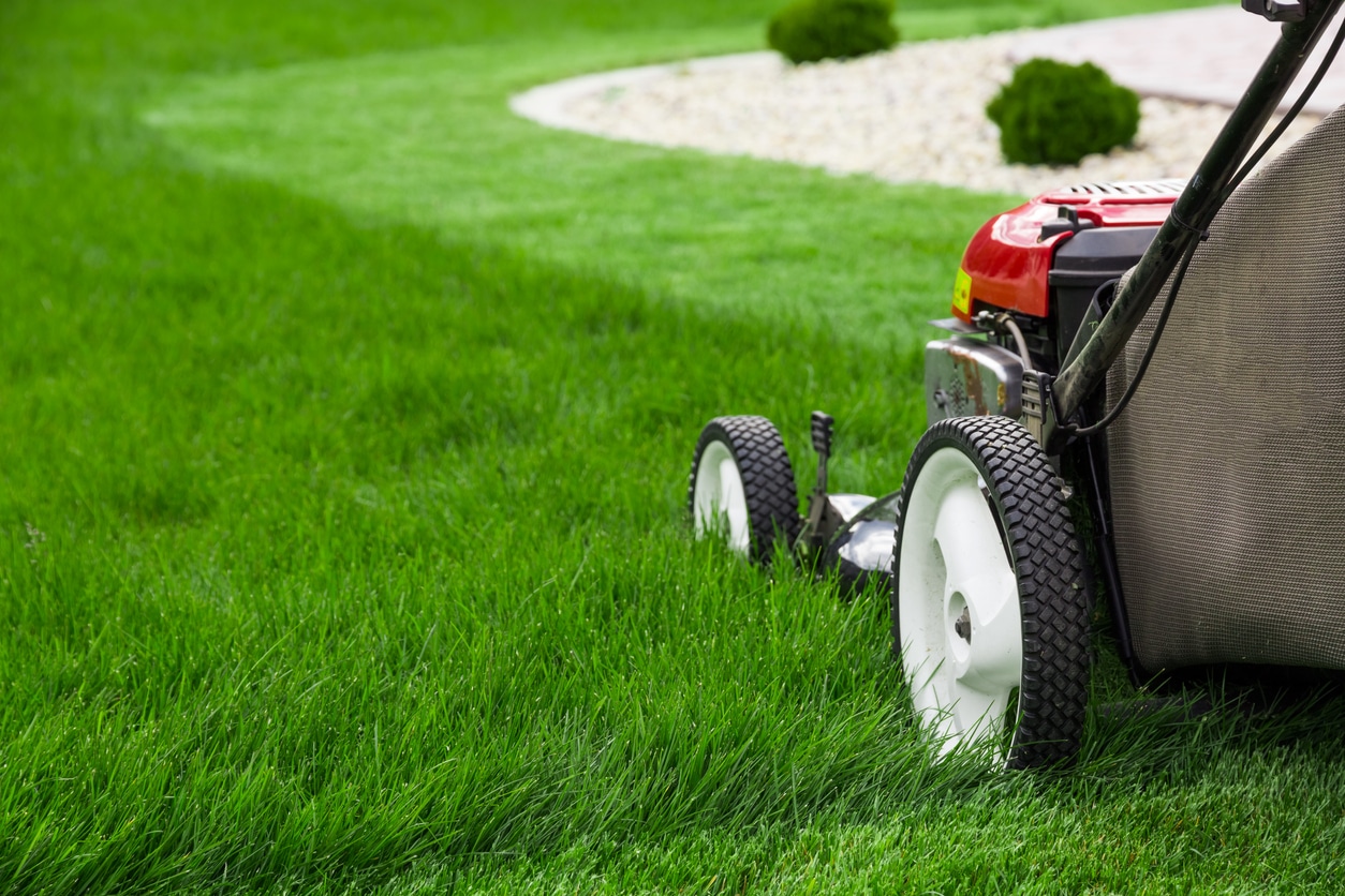 Photograph of lawn mower on lush green grass.