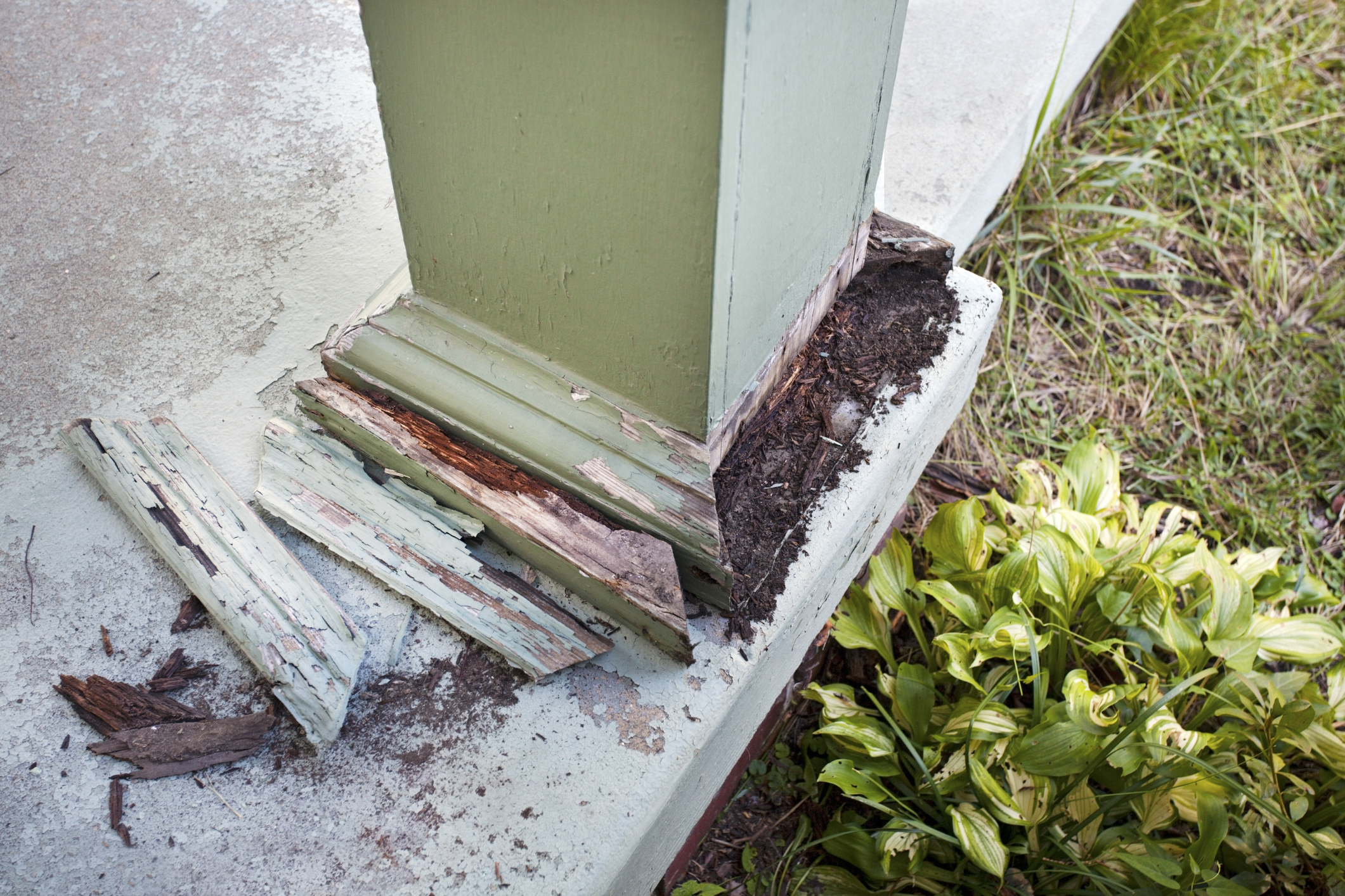 Termites can target support beams and your home’s foundation, putting everyone at risk.