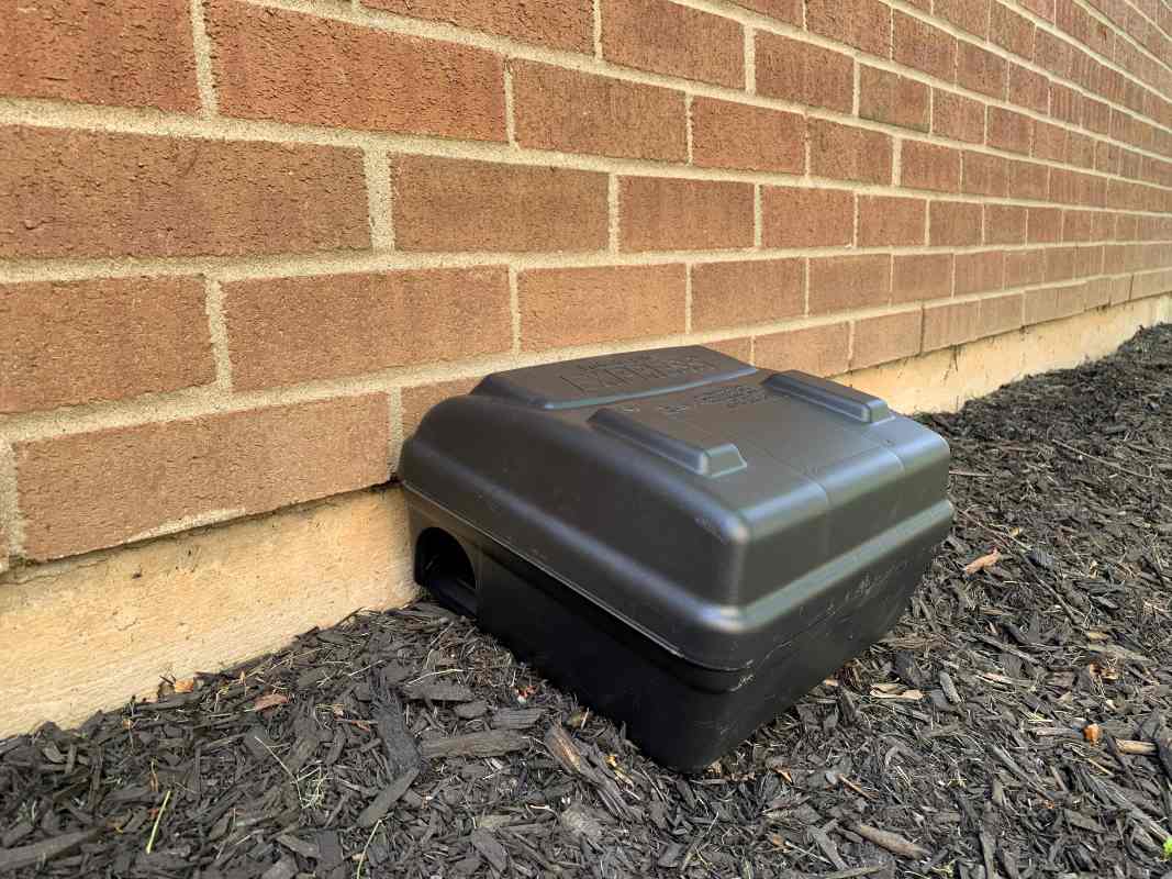 Professionally placed rat traps can eliminate rodent infestations 