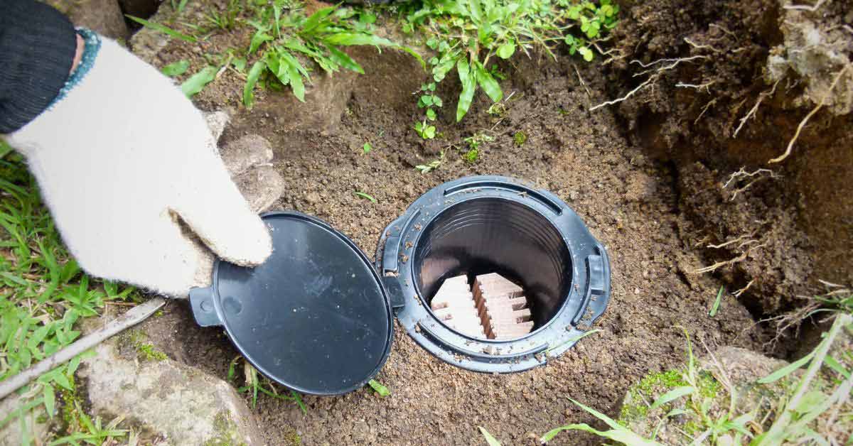 A termite baiting system.